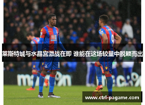 莱斯特城与水晶宫激战在即 谁能在这场较量中脱颖而出 莱斯特城与水晶宫激战在即 谁能在这场较量中脱颖而出